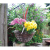 14Inch Rattan Hanging Basket(2) 14Inch Rattan Hanging Basket(2)